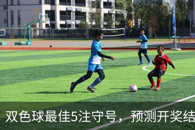 双色球最佳5注守号，预测开奖结果073期