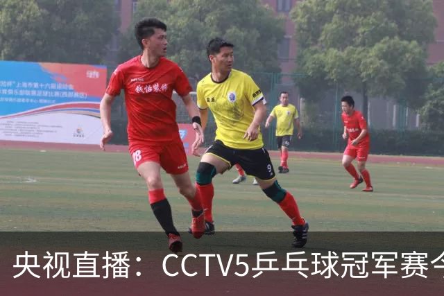 央视直播：CCTV5乒乓球冠军赛今日节目，附今日国乒5场赛程