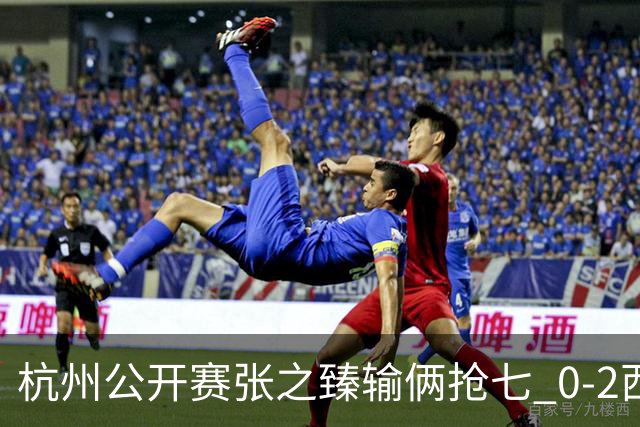 杭州公开赛张之臻输俩抢七 0-2西里奇收获亚军