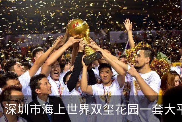 深圳市海上世界双玺花园一套大平层海景房拍卖，被人5116万元竞得