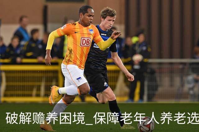 破解赡养困境 保障老年人养老选择权