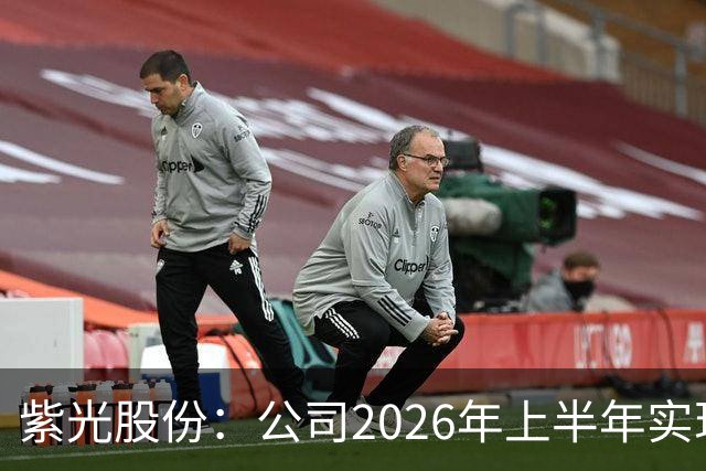 紫光股份：公司2026年上半年实现营业收入635.16亿，同比增长33.93%