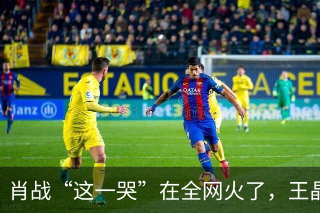 肖战“这一哭”在全网火了，王晶的评价，终于有人信了！