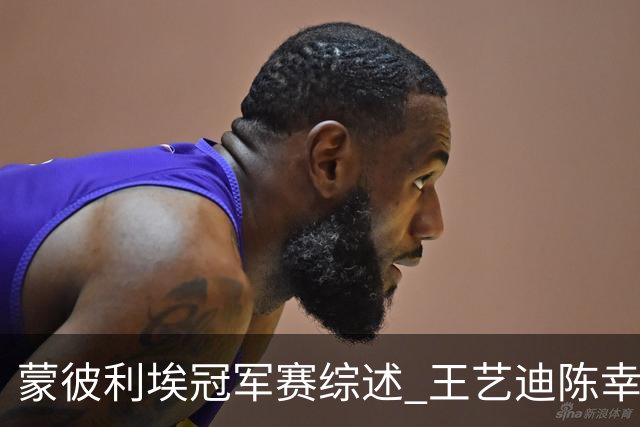 蒙彼利埃冠军赛综述 王艺迪陈幸同进8强，松岛辉空出局日乒团灭