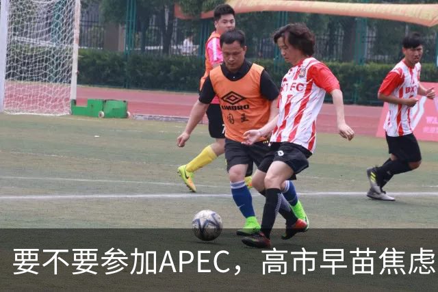 要不要参加APEC，高市早苗焦虑到抓耳挠腮